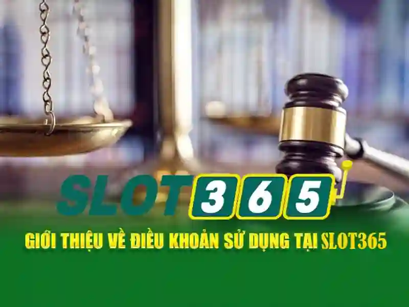 Giao diện và trải nghiệm người dùng