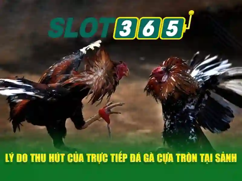 Khuyến mãi và thanh toán an toàn