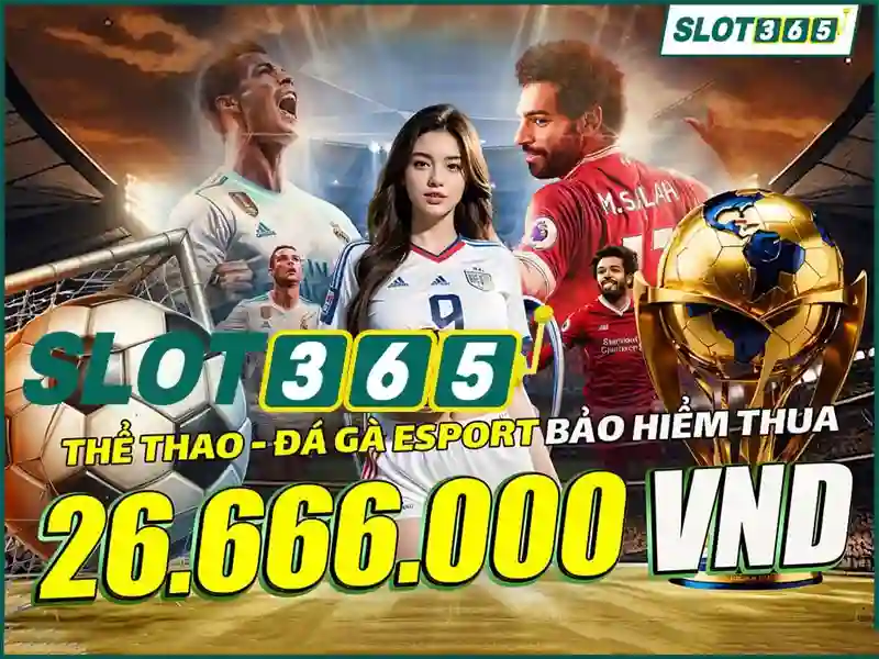 Slot365: Nền tảng trò chơi slots trực tuyến