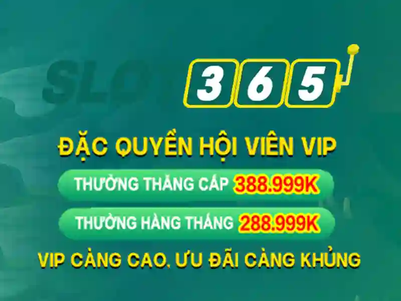 Slot365 - Tổng quan về nền tảng chơi slot trực tuyến