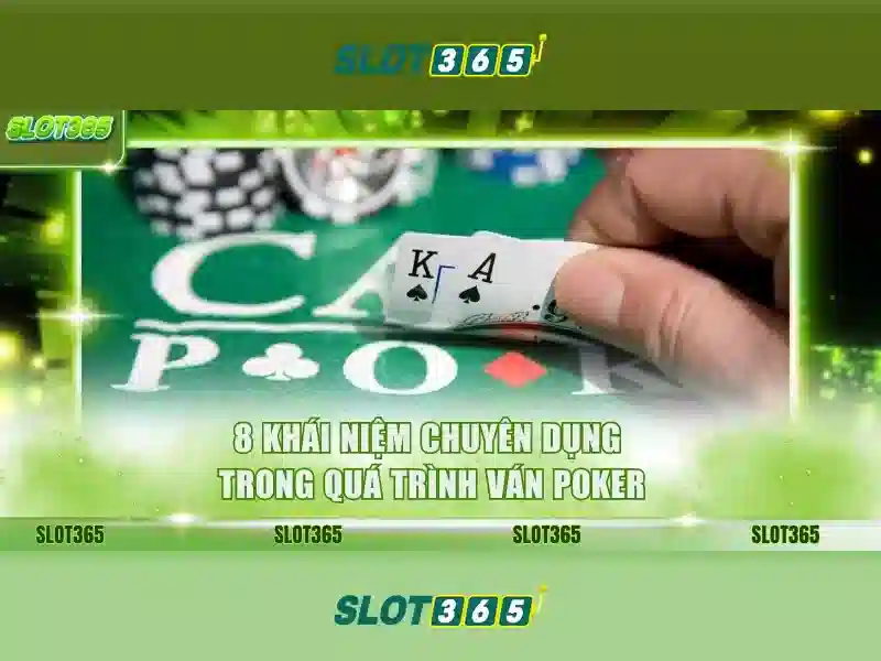 Trải nghiệm khách hàng và hỗ trợ 24/7
