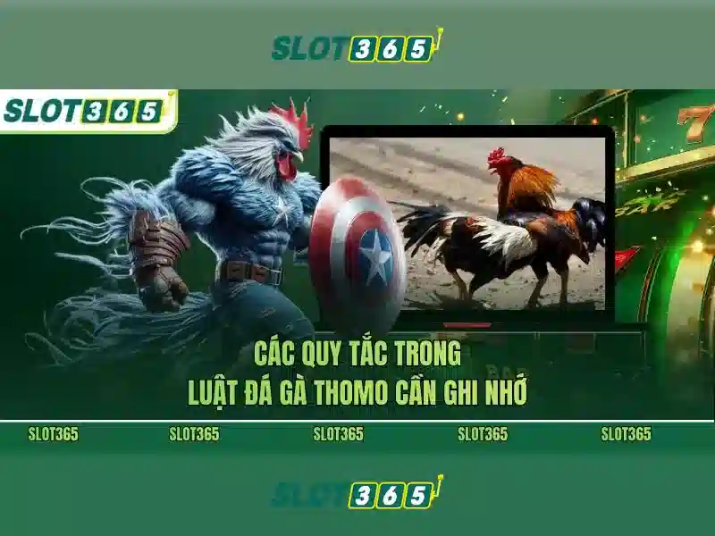 Slot365: Đánh giá và Trải nghiệm