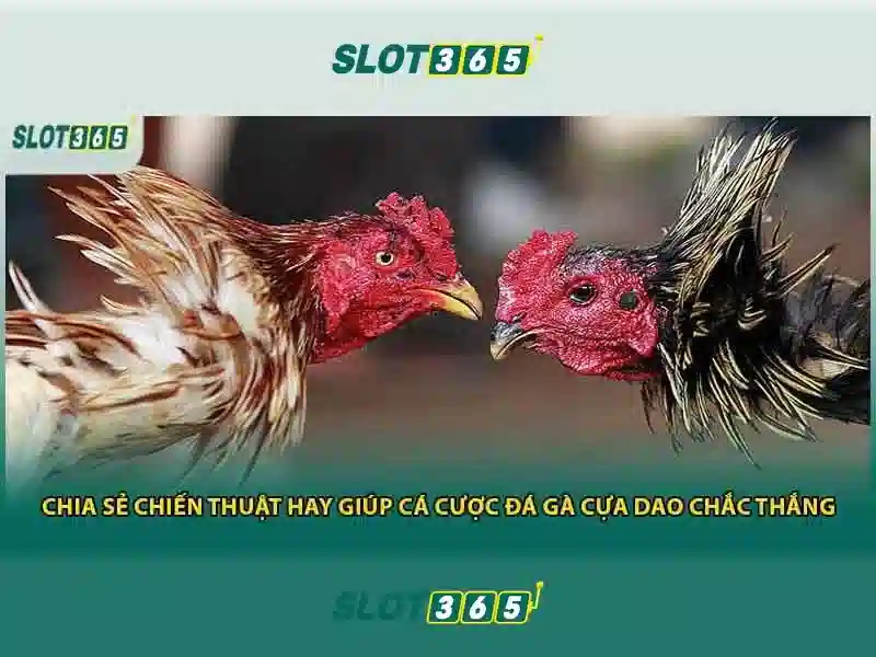 Slot365 – Tổng quan và đánh giá nền tảng slot trực tuyến