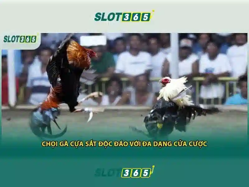 Cổng thanh toán và bảo mật