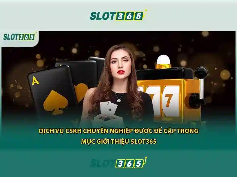Slot365 - Nền tảng cá cược trực tuyến uy tín