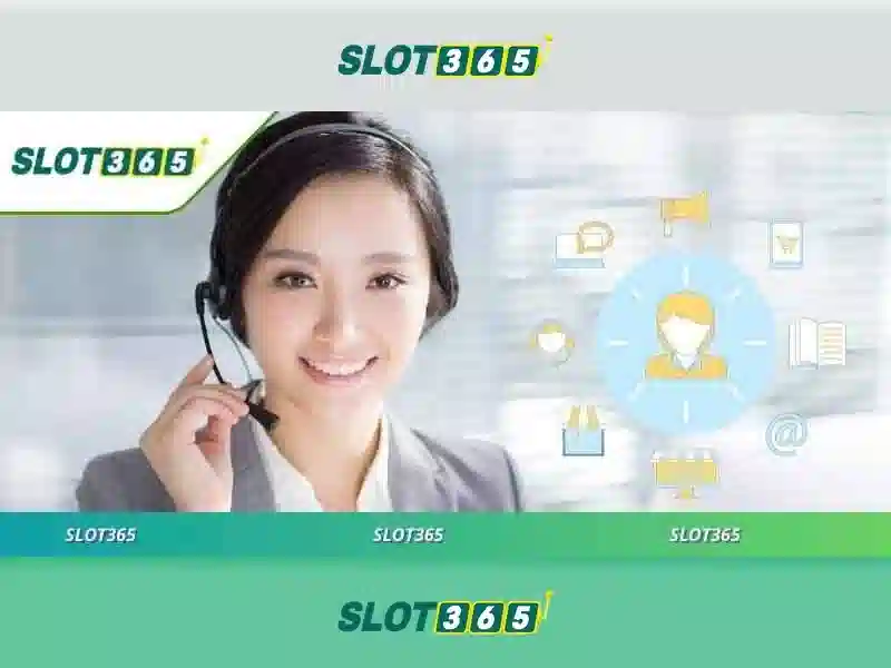 Giao diện và tính năng nổi bật
