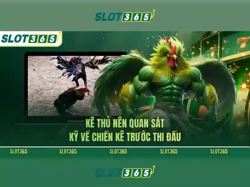 Slot365 là gì?