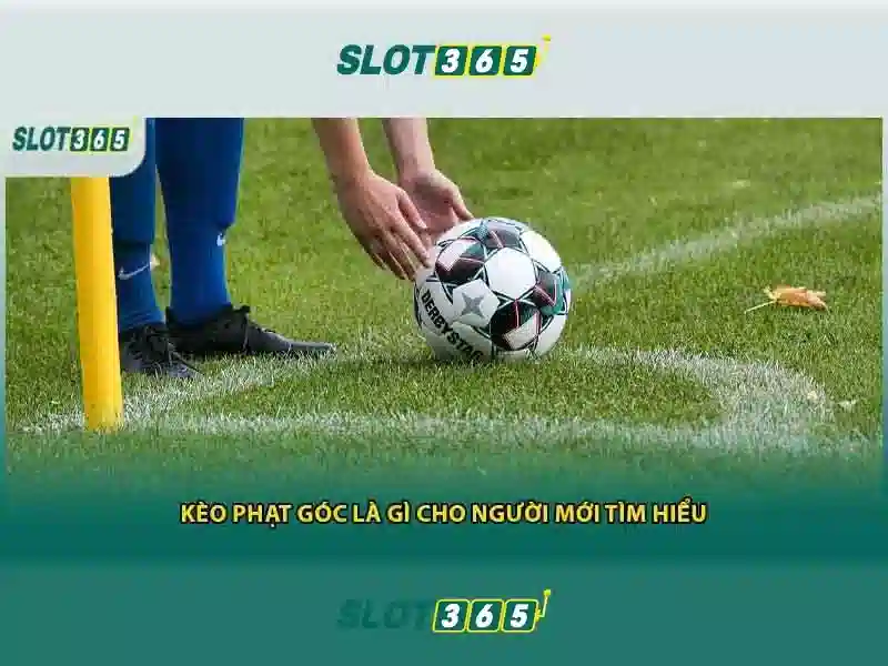 Slot365: Trải nghiệm chơi slot trực tuyến an toàn và hấp dẫn