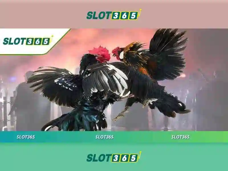 Slot365 - Trải nghiệm chơi xèng trực tuyến đỉnh cao