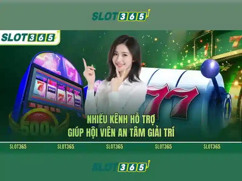 Trải nghiệm trực tiếp và hỗ trợ khách hàng