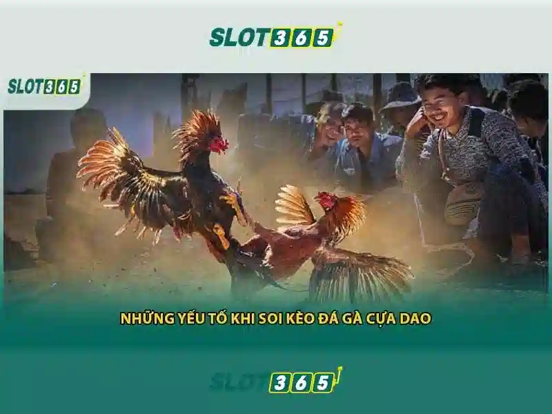 Mô hình hệ thống bảo mật an ninh mạng tại Slot365 được thiết kế bởi đội ngũ kỹ thuật