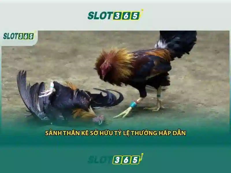 Slot365 – Trải nghiệm chơi slot trực tuyến an toàn và thú vị