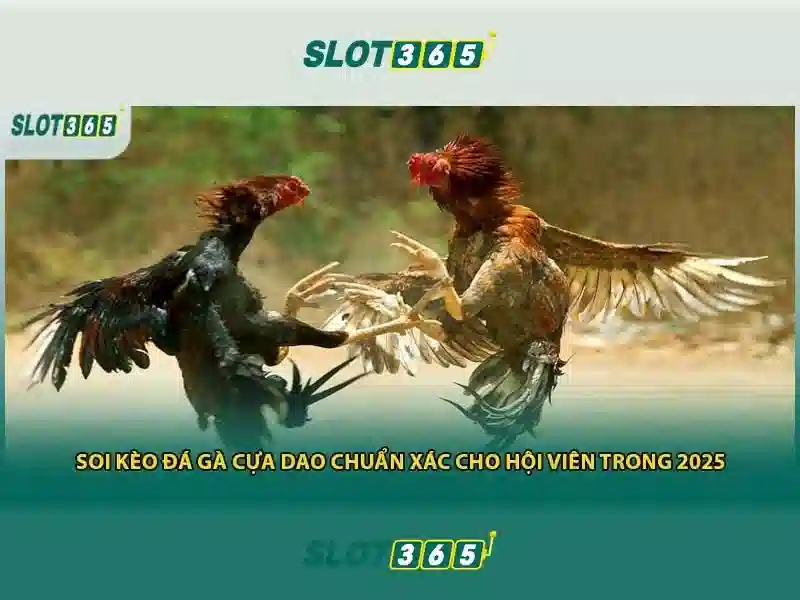 Giới thiệu về Slot365
