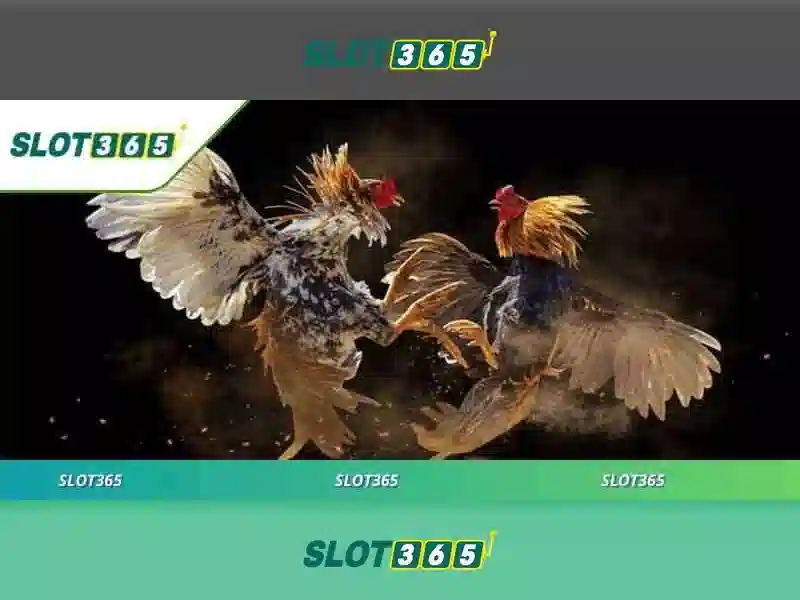 Slot365: Đánh giá nền tảng cá cược trực tuyến đáng tin cậy