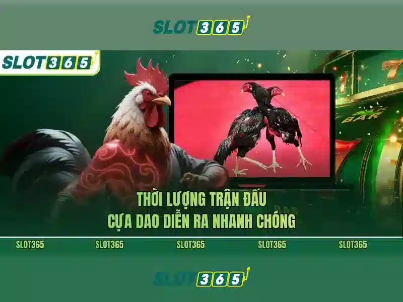 Tính năng nổi bật
