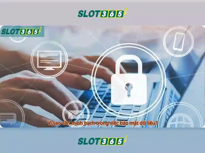 Slot365: Tổng quan và trải nghiệm trò chơi slot