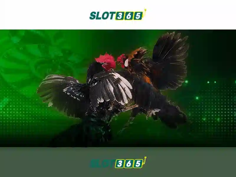 Slot365 – Đánh giá nền tảng chơi slot trực tuyến