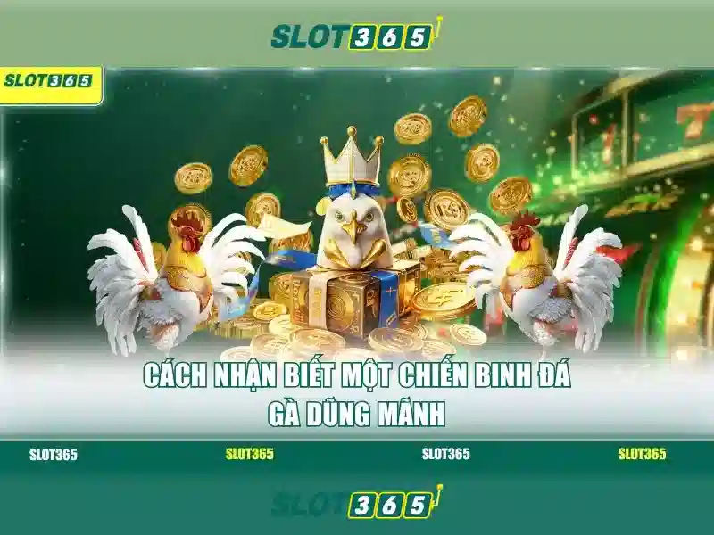 Công nghệ livestream 4K sắc nét tại sảnh Live Casino Slot365