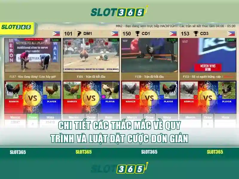 Slot365 và thế giới trò chơi slot trực tuyến