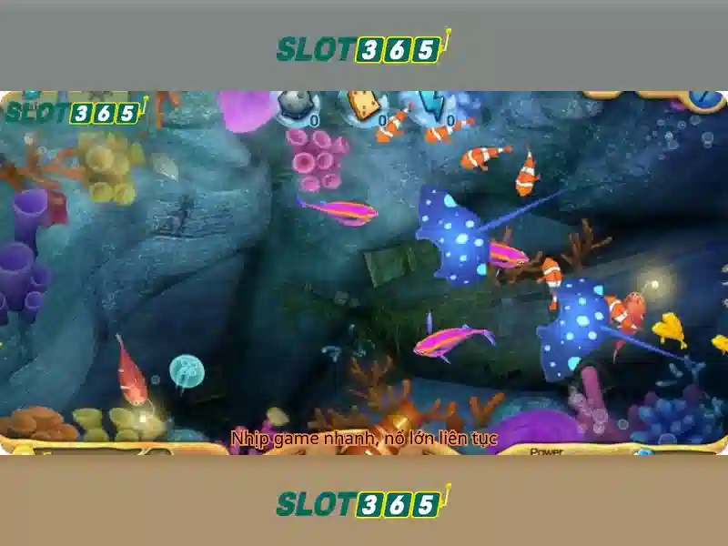 comparison-portal