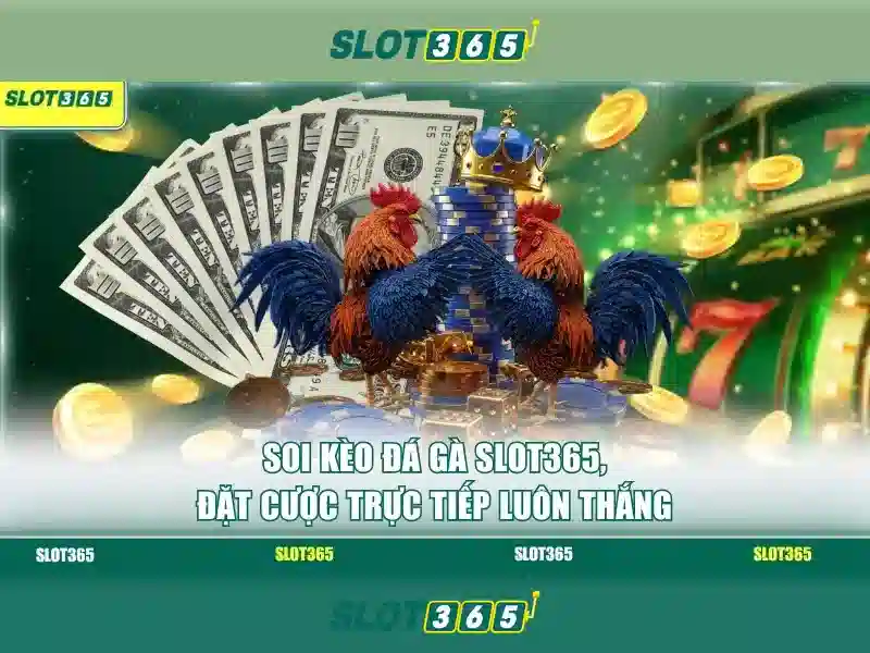 Slot365 - Nền tảng slot trực tuyến an toàn và hấp dẫn