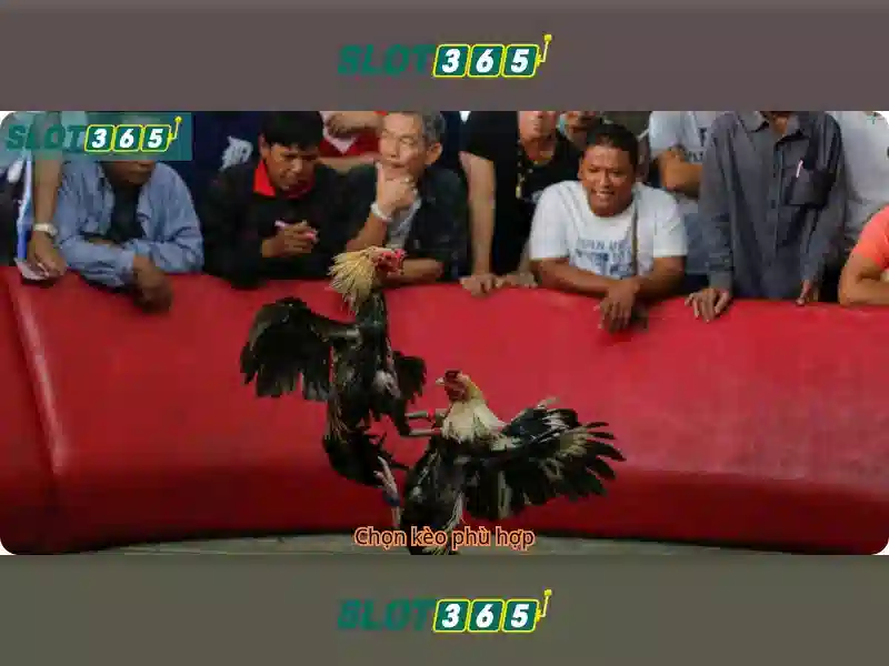 Slot365: Nền tảng slot trực tuyến hàng đầu