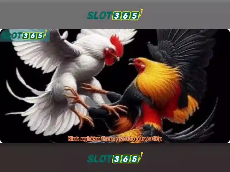 Slot365 - trải nghiệm chơi slot trực tuyến tuyệt vời