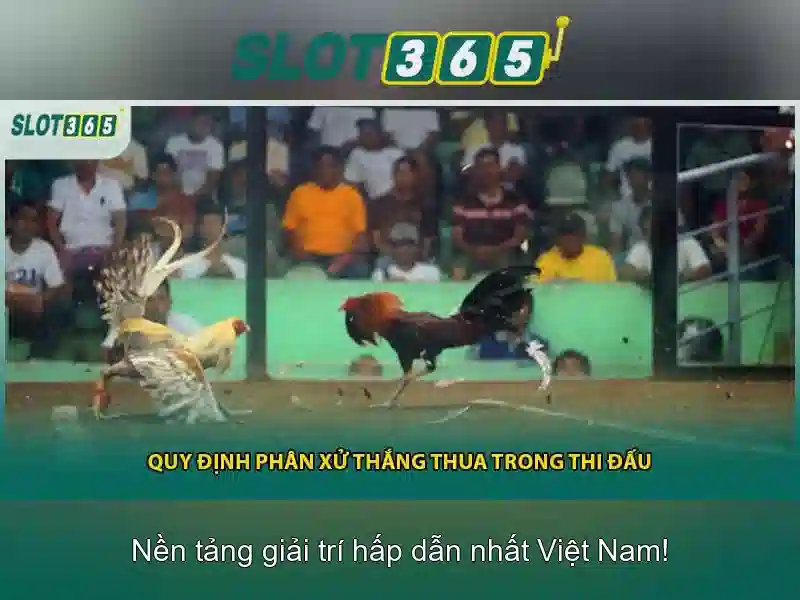 Slot365: Danh gia nen tang choi slots truc tuyen