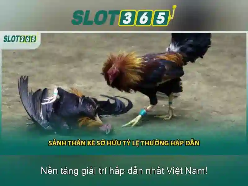Trải nghiệm người dùng và hỗ trợ khách hàng