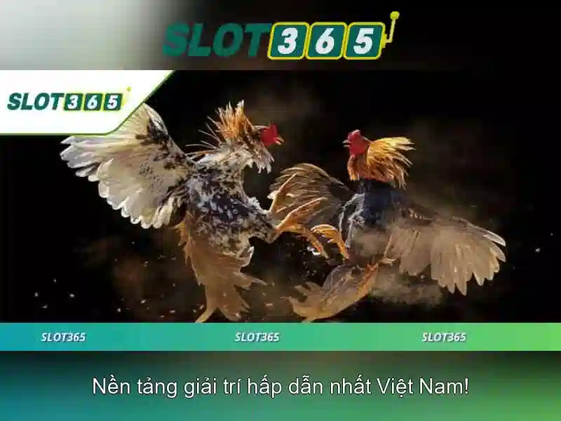 Độ tin cậy và bảo mật
