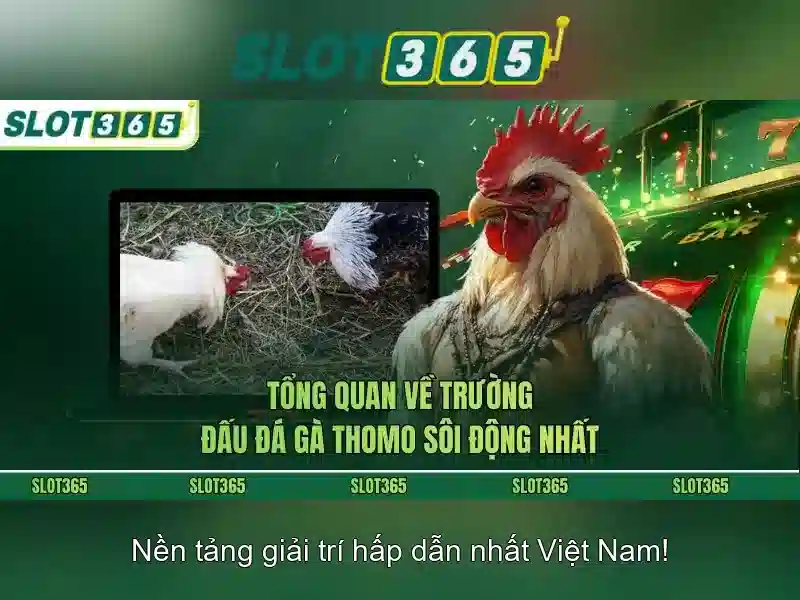 Slot365 – Đánh giá và hướng dẫn chơi slot trực tuyến