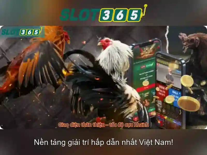 Slot365: Nền tảng đánh bạc trực tuyến hàng đầu và các trò chơi slots