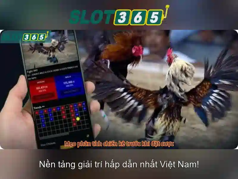 Slot365: Nền tảng slot trực tuyến và trải nghiệm đỉnh cao