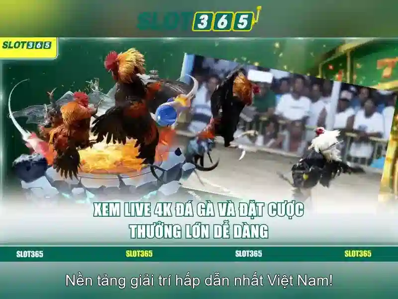 Trải nghiệm slot trực tuyến đáng tin cậy và thú vị