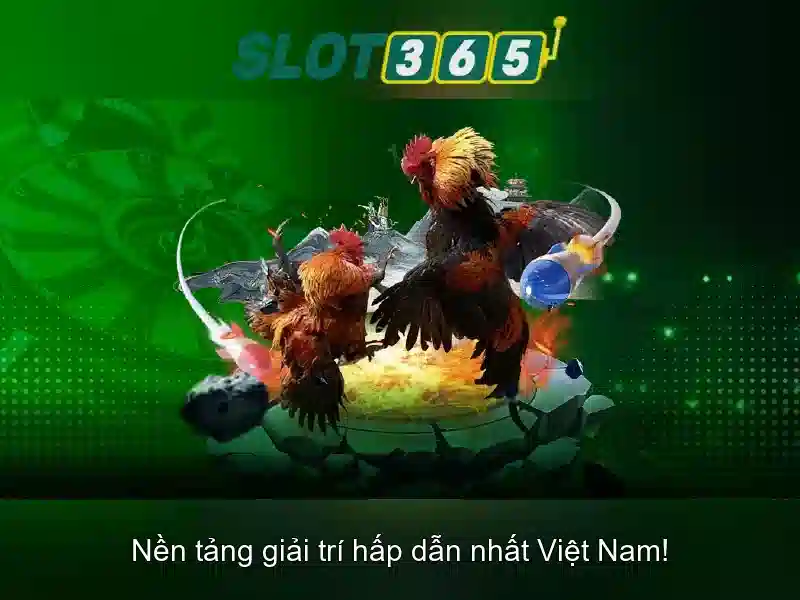Slot365 – Nền tảng đánh bạc trực tuyến hàng đầu