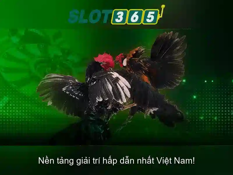 Khuyến mãi và bonus