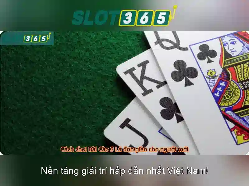 Slot365: Đánh giá tổng quan và hướng dẫn chơi slot trực tuyến