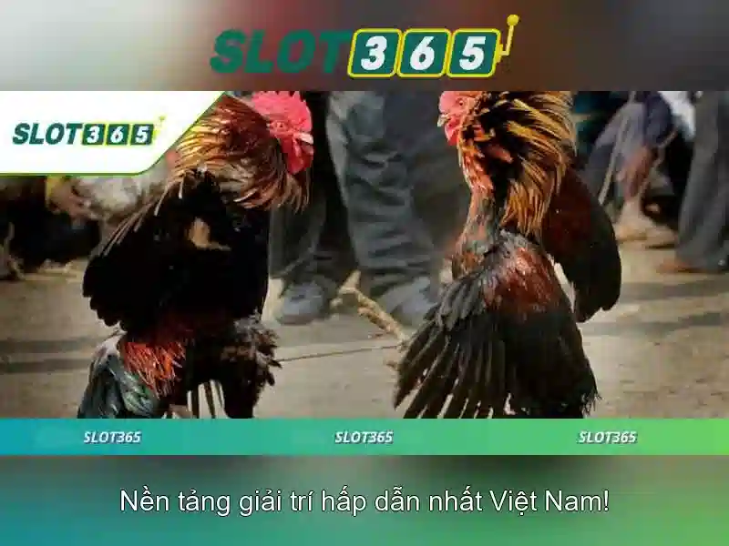 Trò chơi và nhà cung cấp