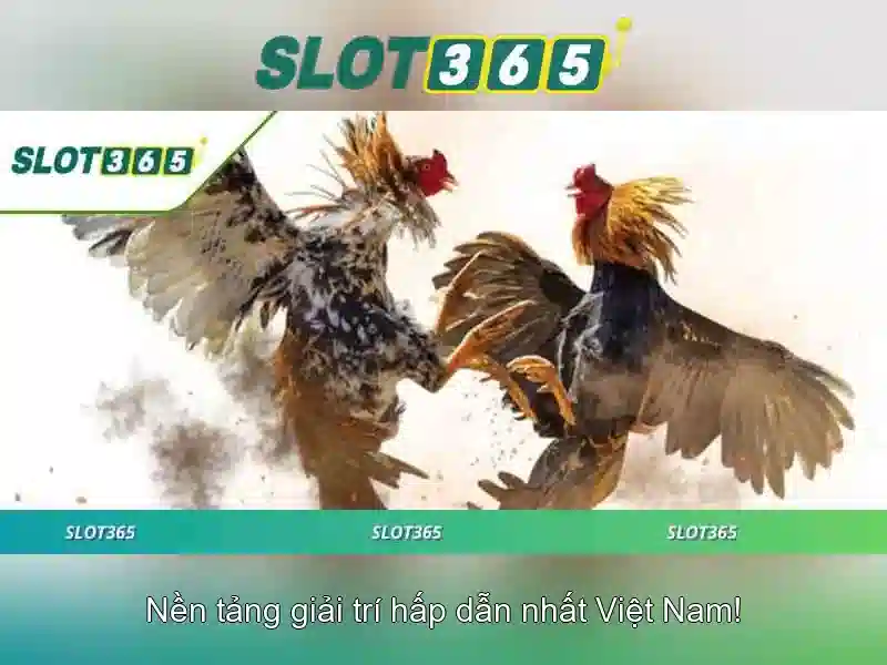 Slot365 - Nền tảng máy xèng trực tuyến