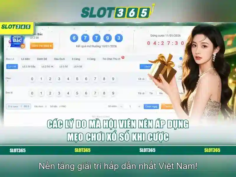 Slot365 - Tổng quan và trải nghiệm người chơi