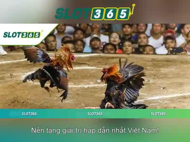 Đặc điểm nổi bật