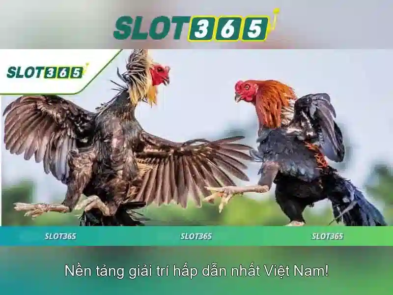 Slot365: Đánh giá tổng quan và trải nghiệm