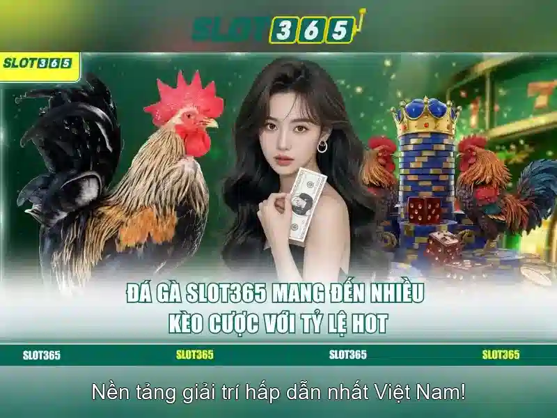 Tính năng và khuyến mãi