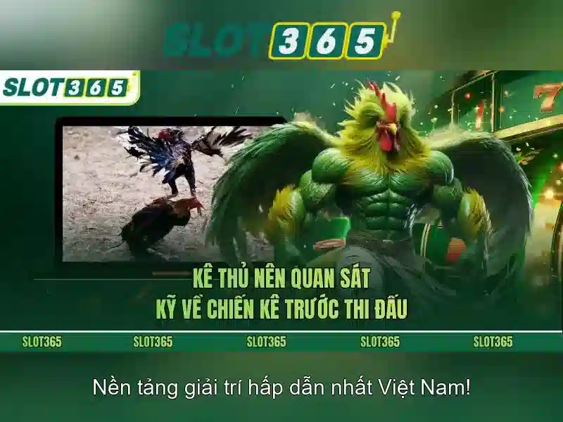 Slot365 và sự đa dạng trò chơi