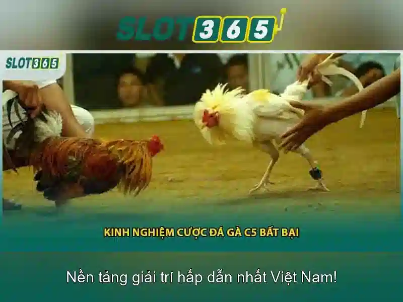 Các đặc điểm nổi bật của Slot365