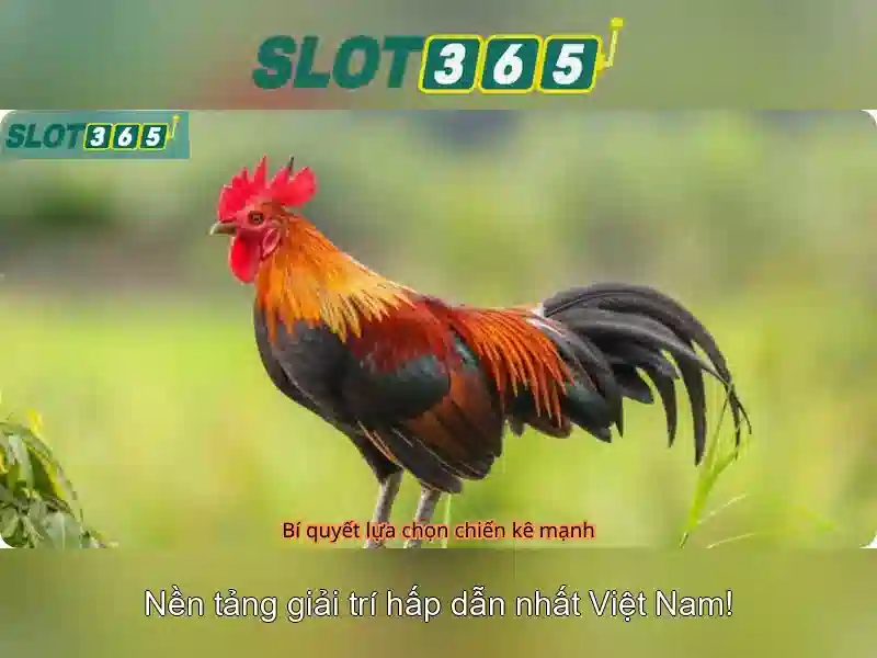 Khuyến mãi hấp dẫn và chương trình thành viên