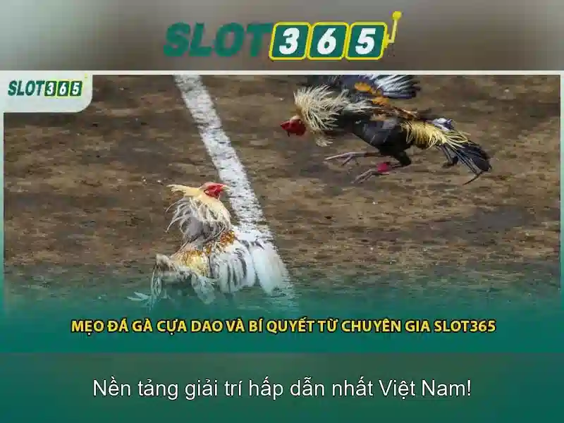 Khuyến mãi và chương trình thưởng