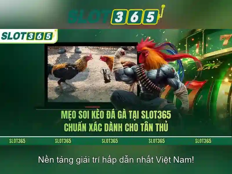 Slot365 là gì và vì sao nhiều người tin tưởng?