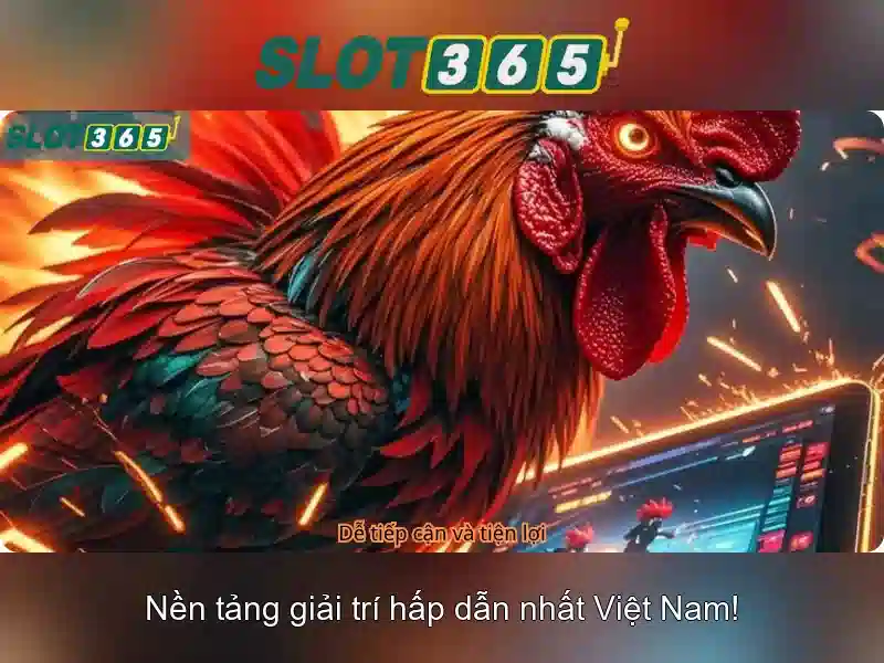 Trải nghiệm người dùng và giao diện