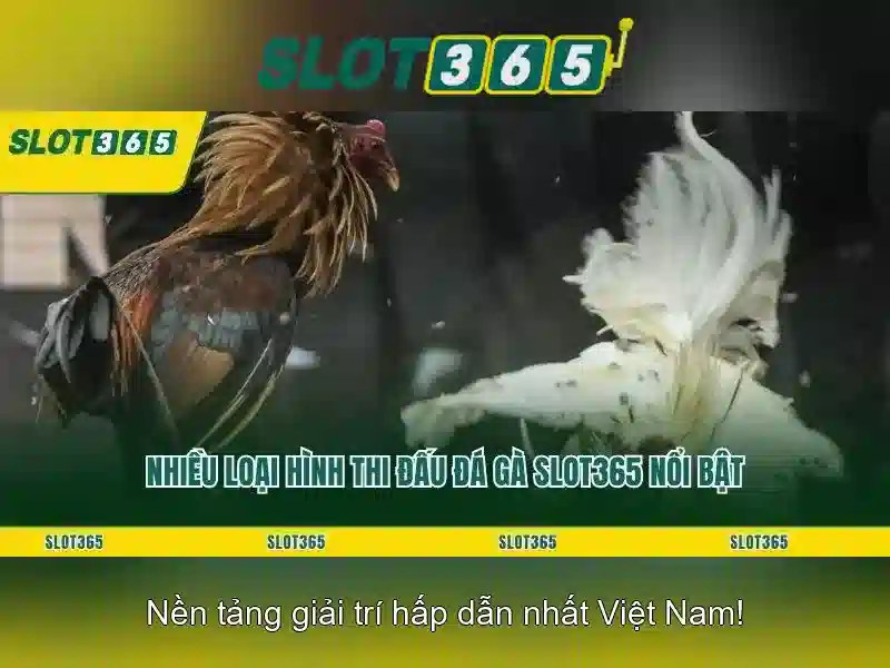 Slot365: Khai phá thế giới trò chơi slot trực tuyến